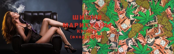 шишки Беломорск