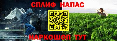 молекула духа Балахна