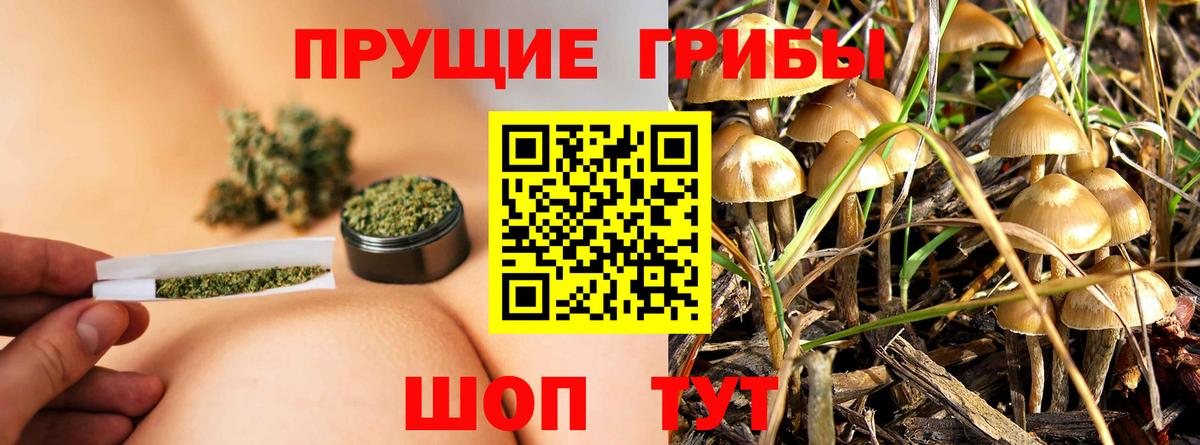 Псилоцибиновые грибы мухоморы  Вход с VPN  Большой Камень  Галлюциногенные грибы мицелий 