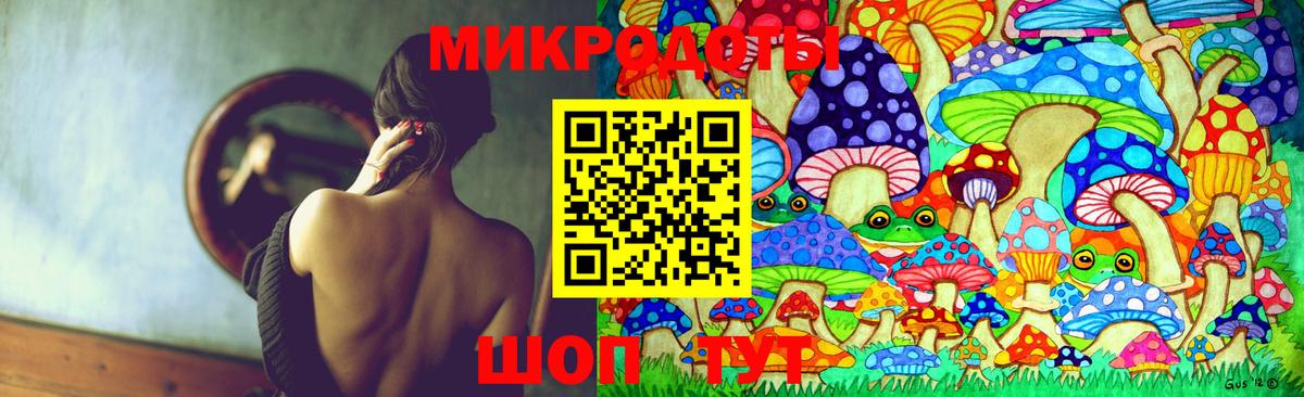 Галлюциногенные грибы Cubensis Большой Камень