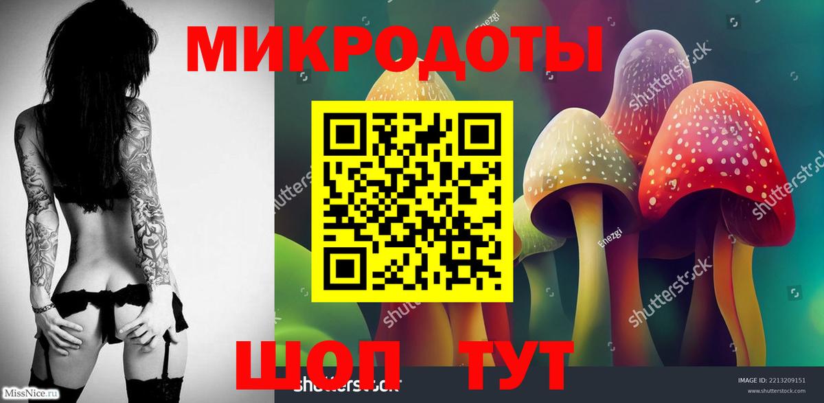 Псилоцибиновые грибы Cubensis Большой Камень