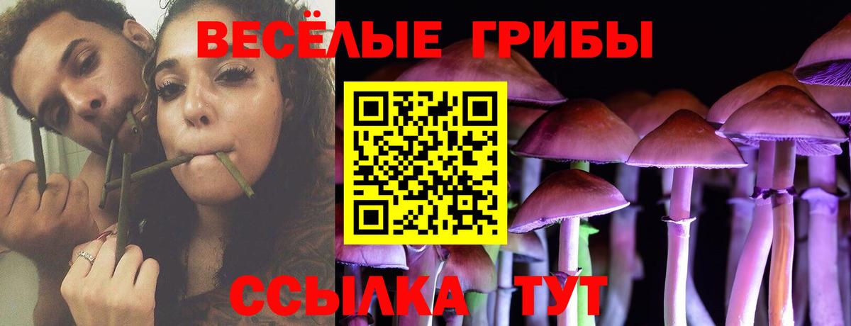 Псилоцибиновые грибы Cubensis  Галлюциногенные грибы MAGIC MUSHROOMS  Большой Камень 