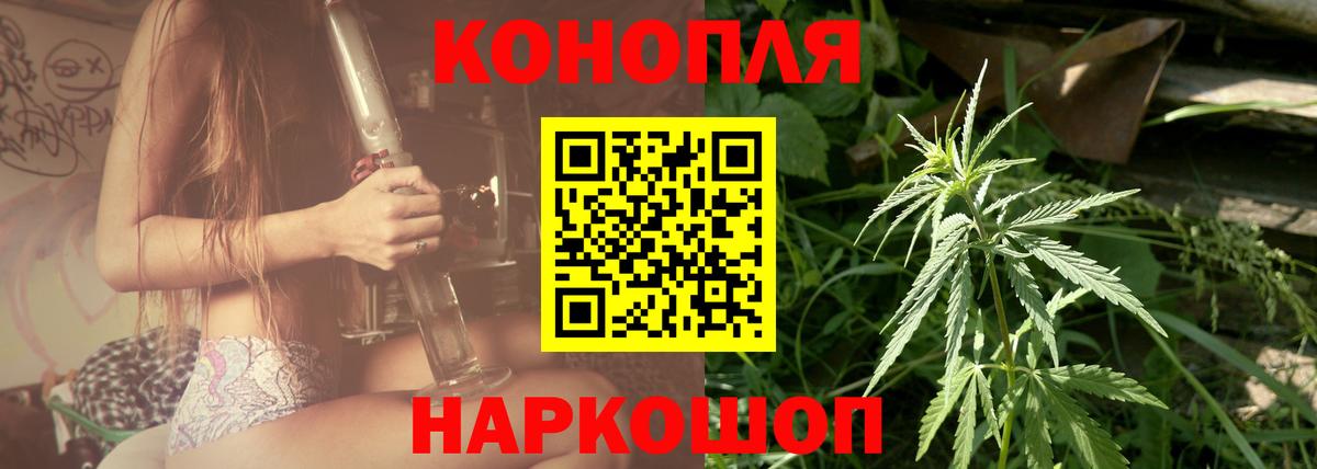 Конопля тримм  Бошки Шишки Amnesia  Большой Камень  Каннабис план  Каннабис гибрид 